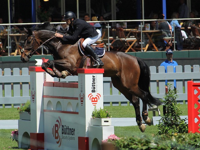 此次失误无 此次失误无