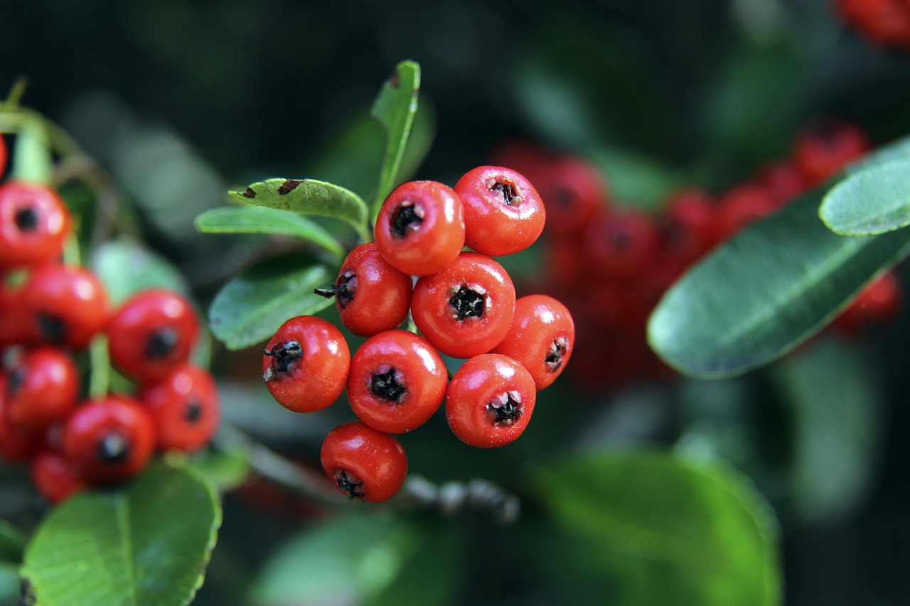 它位于泰山 它位于泰山